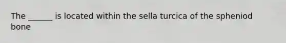 The ______ is located within the sella turcica of the spheniod bone