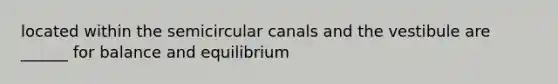 located within the semicircular canals and the vestibule are ______ for balance and equilibrium