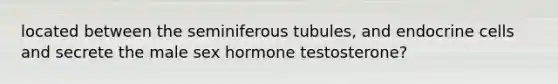 located between the seminiferous tubules, and endocrine cells and secrete the male sex hormone testosterone?