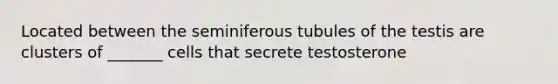 Located between the seminiferous tubules of the testis are clusters of _______ cells that secrete testosterone