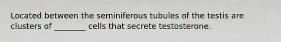 Located between the seminiferous tubules of the testis are clusters of ________ cells that secrete testosterone.