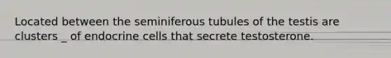 Located between the seminiferous tubules of the testis are clusters _ of endocrine cells that secrete testosterone.