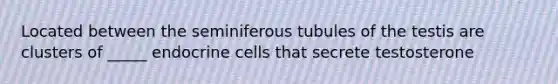 Located between the seminiferous tubules of the testis are clusters of _____ endocrine cells that secrete testosterone