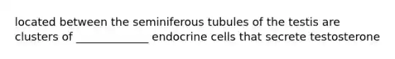 located between the seminiferous tubules of the testis are clusters of _____________ endocrine cells that secrete testosterone