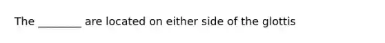 The ________ are located on either side of the glottis