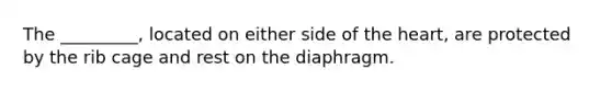 The _________, located on either side of the heart, are protected by the rib cage and rest on the diaphragm.