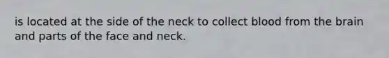 is located at the side of the neck to collect blood from the brain and parts of the face and neck.