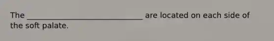 The ______________________________ are located on each side of the soft palate.
