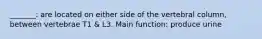 _______: are located on either side of the vertebral column, between vertebrae T1 & L3. Main function: produce urine