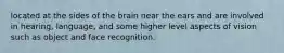 located at the sides of the brain near the ears and are involved in hearing, language, and some higher level aspects of vision such as object and face recognition.