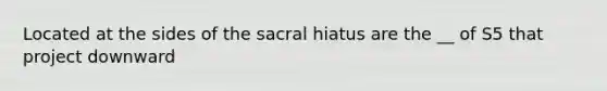 Located at the sides of the sacral hiatus are the __ of S5 that project downward