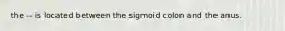 the -- is located between the sigmoid colon and the anus.