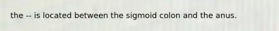 the -- is located between the sigmoid colon and the anus.