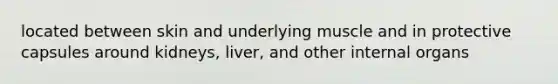 located between skin and underlying muscle and in protective capsules around kidneys, liver, and other internal organs