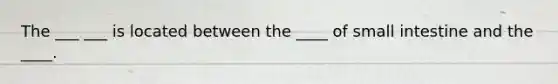 The ___ ___ is located between the ____ of small intestine and the ____.