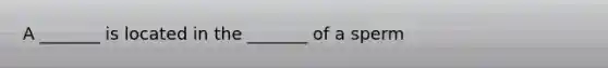 A _______ is located in the _______ of a sperm