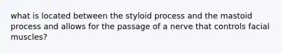 what is located between the styloid process and the mastoid process and allows for the passage of a nerve that controls facial muscles?