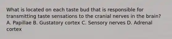 What is located on each taste bud that is responsible for transmitting taste sensations to the cranial nerves in the brain? A. Papillae B. Gustatory cortex C. Sensory nerves D. Adrenal cortex