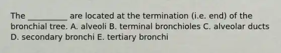 The __________ are located at the termination (i.e. end) of the bronchial tree. A. alveoli B. terminal bronchioles C. alveolar ducts D. secondary bronchi E. tertiary bronchi