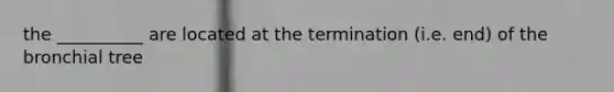 the __________ are located at the termination (i.e. end) of the bronchial tree