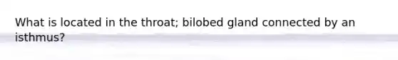 What is located in the throat; bilobed gland connected by an isthmus?