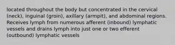 located throughout the body but concentrated in the cervical (neck), inguinal (groin), axillary (armpit), and abdominal regions. Receives lymph from numerous afferent (inbound) lymphatic vessels and drains lymph into just one or two efferent (outbound) lymphatic vessels