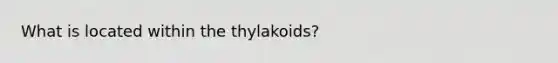 What is located within the thylakoids?