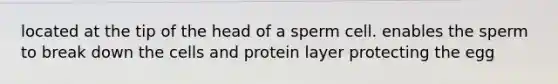 located at the tip of the head of a sperm cell. enables the sperm to break down the cells and protein layer protecting the egg