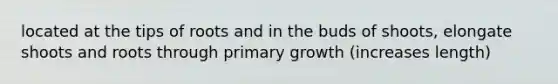 located at the tips of roots and in the buds of shoots, elongate shoots and roots through primary growth (increases length)