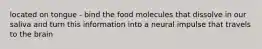 located on tongue - bind the food molecules that dissolve in our saliva and turn this information into a neural impulse that travels to the brain