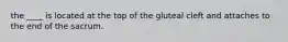 the ____ is located at the top of the gluteal cleft and attaches to the end of the sacrum.