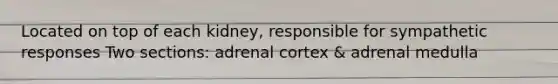 Located on top of each kidney, responsible for sympathetic responses Two sections: adrenal cortex & adrenal medulla