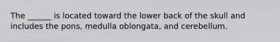 The ______ is located toward the lower back of the skull and includes the pons, medulla oblongata, and cerebellum.