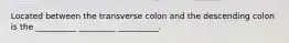 Located between the transverse colon and the descending colon is the __________ _________ __________.