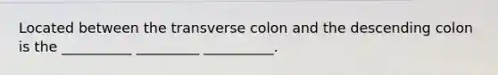 Located between the transverse colon and the descending colon is the __________ _________ __________.