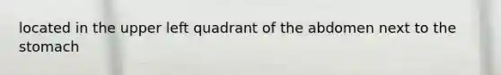 located in the upper left quadrant of the abdomen next to the stomach