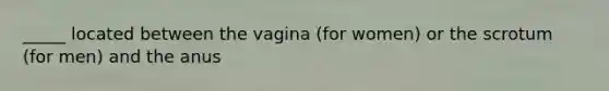 _____ located between the vagina (for women) or the scrotum (for men) and the anus