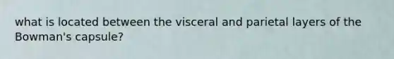 what is located between the visceral and parietal layers of the Bowman's capsule?