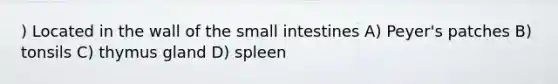 ) Located in the wall of the small intestines A) Peyer's patches B) tonsils C) thymus gland D) spleen