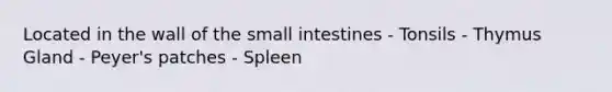 Located in the wall of <a href='https://www.questionai.com/knowledge/kt623fh5xn-the-small-intestine' class='anchor-knowledge'>the small intestine</a>s - Tonsils - Thymus Gland - Peyer's patches - Spleen