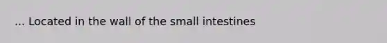 ... Located in the wall of <a href='https://www.questionai.com/knowledge/kt623fh5xn-the-small-intestine' class='anchor-knowledge'>the small intestine</a>s