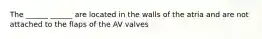 The ______ ______ are located in the walls of the atria and are not attached to the flaps of the AV valves