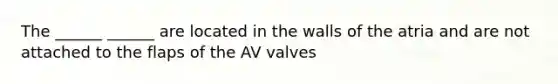 The ______ ______ are located in the walls of the atria and are not attached to the flaps of the AV valves