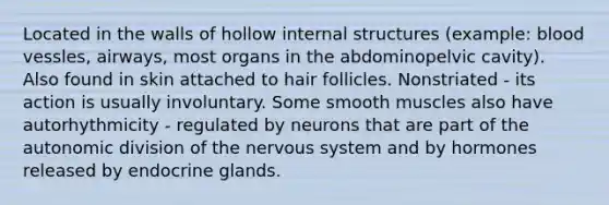 Located in the walls of hollow internal structures (example: blood vessles, airways, most organs in the abdominopelvic cavity). Also found in skin attached to hair follicles. Nonstriated - its action is usually involuntary. Some smooth muscles also have autorhythmicity - regulated by neurons that are part of the autonomic division of the nervous system and by hormones released by endocrine glands.