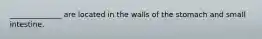 ______________ are located in the walls of the stomach and small intestine.