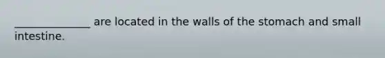 ______________ are located in the walls of the stomach and small intestine.