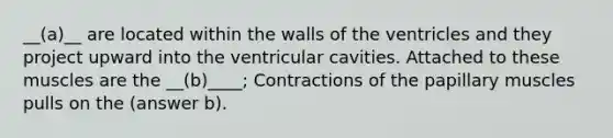 __(a)__ are located within the walls of the ventricles and they project upward into the ventricular cavities. Attached to these muscles are the __(b)____; Contractions of the papillary muscles pulls on the (answer b).