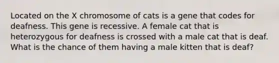 Located on the X chromosome of cats is a gene that codes for deafness. This gene is recessive. A female cat that is heterozygous for deafness is crossed with a male cat that is deaf. What is the chance of them having a male kitten that is deaf?