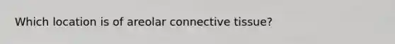 Which location is of areolar connective tissue?