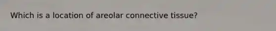 Which is a location of areolar connective tissue?